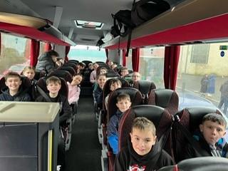 buses